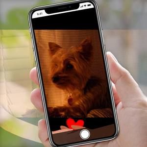 Meet your Posher, Arthur